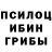 Галлюциногенные грибы Psilocybine cubensis Rick G.