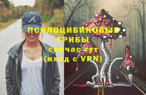 a pvp Аркадак